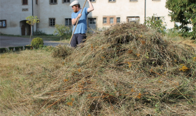 Heumahd – Foto: Eike von Watzdorf