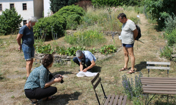 Insektenbestimmung – Foto: Eike von Watzdorf